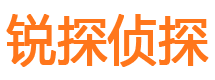 内乡外遇调查取证